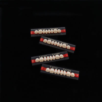 CE ISO High Durability Dental Acrylic Resin Teeth Dentadura Posteriors Upper (8x1)x12 36# Manufacturer